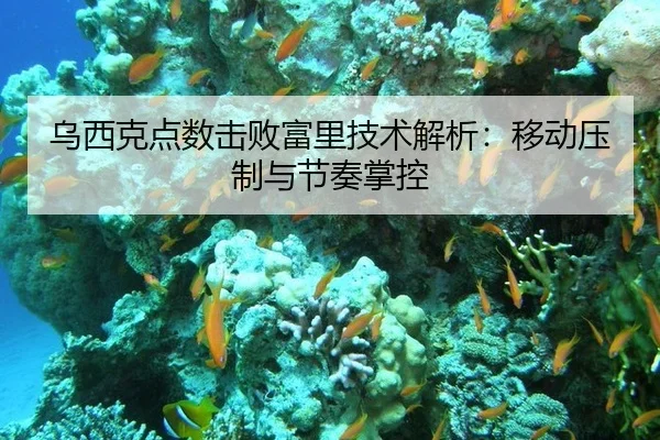 乌西克点数击败富里技术解析：移动压制与节奏掌控 | hth